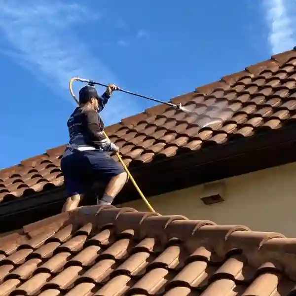 Manso cleaning tile roof