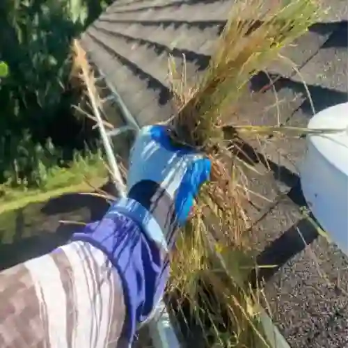 Removing gutter growth