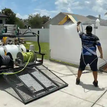 Manso Fence Cleaning