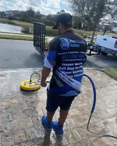 Paver Driveway Cleaning